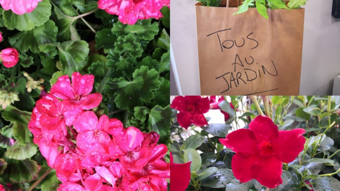 Tous au Jardin ! Tous au Jardin !
