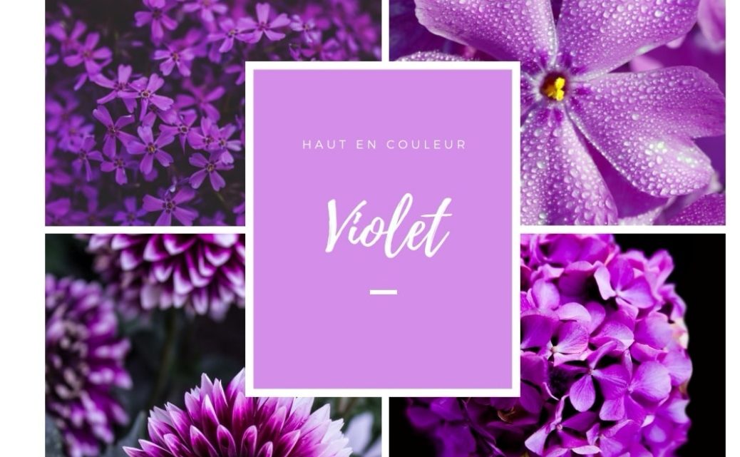 Novembre // Haut en couleur Novembre // Haut en couleur
