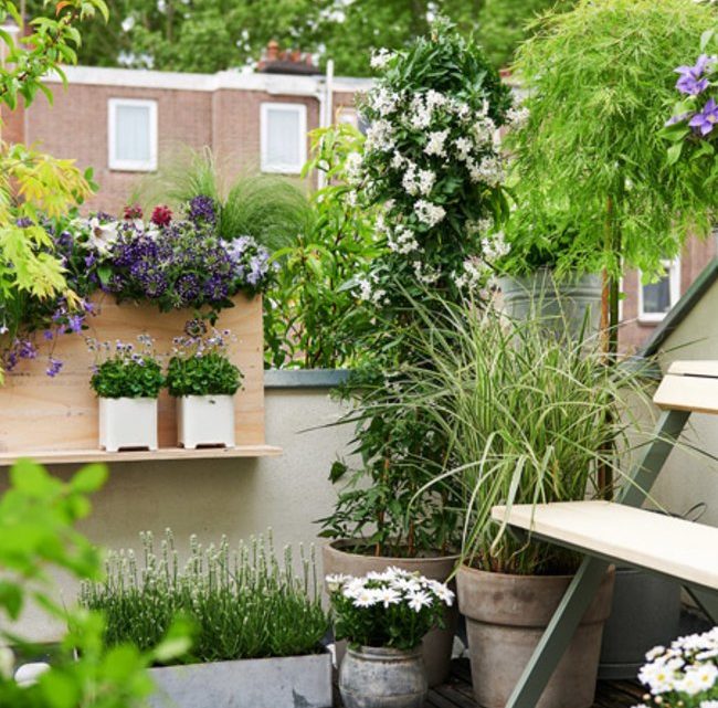 CRÉEZ VOTRE PETIT PARADIS EXTÉRIEUR CRÉEZ VOTRE PETIT PARADIS EXTÉRIEUR