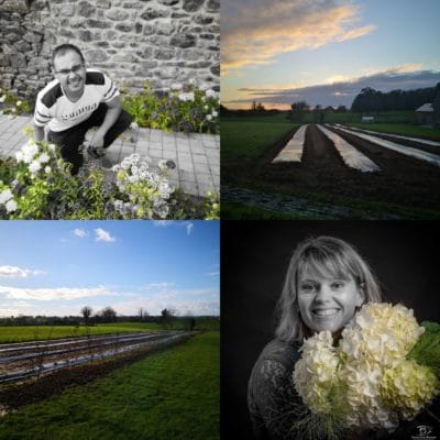 Le Collectif fleurs françaises