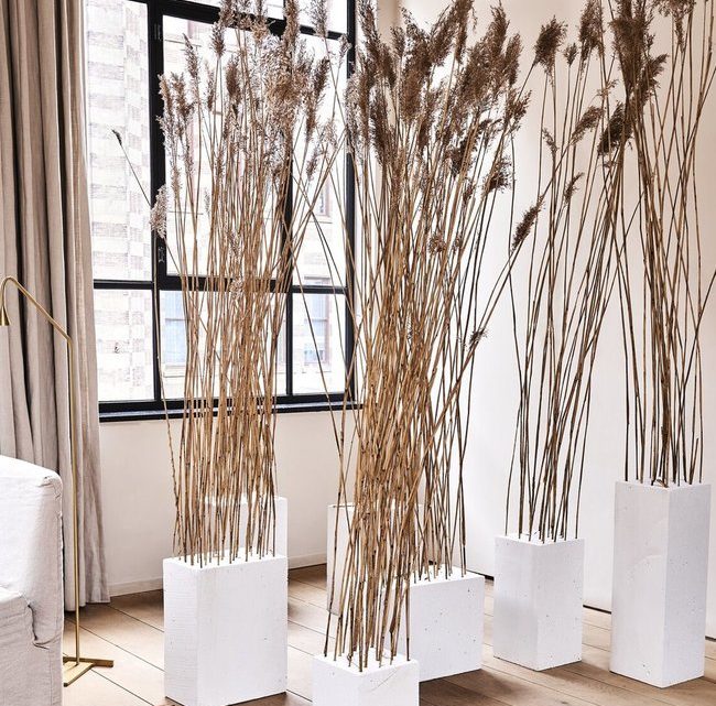 DIY : UNE SCULPTURE VÉGÉTALE SPECTACULAIRE DIY : UNE SCULPTURE VÉGÉTALE SPECTACULAIRE
