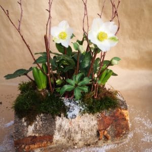 Buche "Rose de noël"