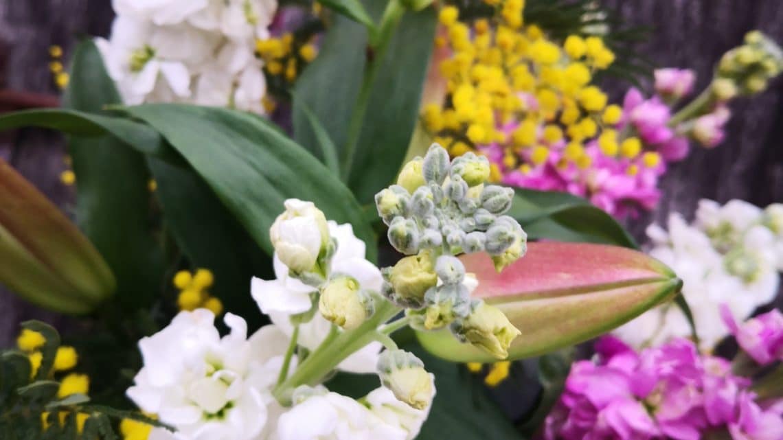 Comment conserver ses fleurs coupées.