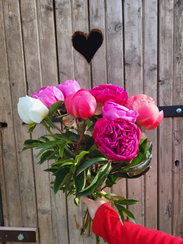 Brassée de "Pivoines" – Image 2