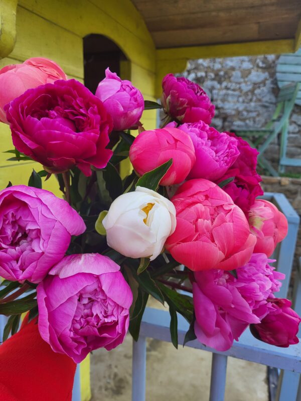 Brassée de "Pivoines" – Image 4