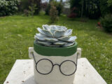 Monsieur lunette