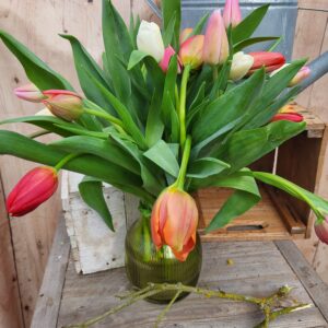 Botte de tulipes