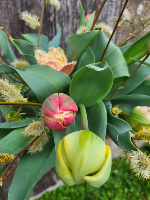 La Brassée de tulipes – Image 3