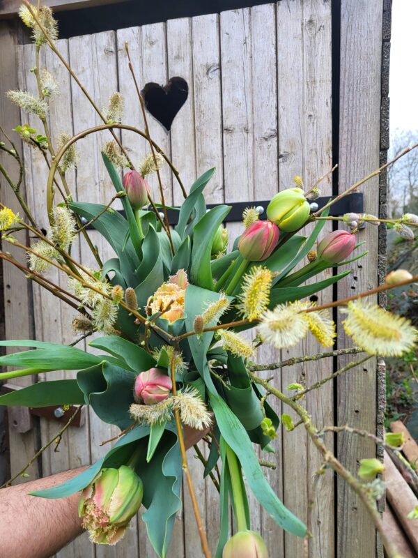 La Brassée de tulipes