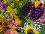 Bouquet « SURPRISE » du fleuriste