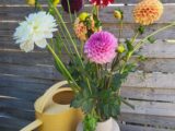 Bouquet du Marché