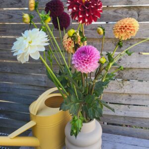 Bouquet du Marché