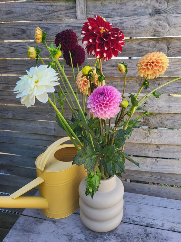 Bouquet du Marché