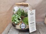 Le terrarium