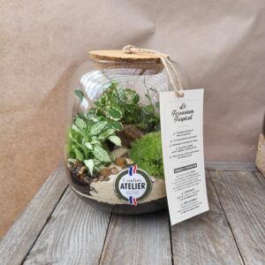 Le terrarium