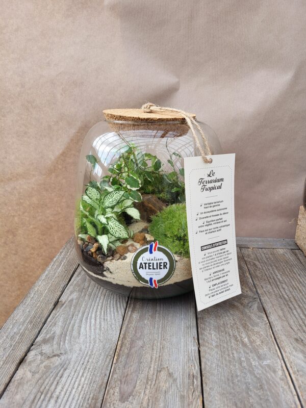 Le terrarium
