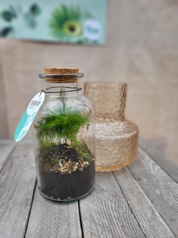 Le Terrarium – Image 2