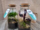 Le Terrarium