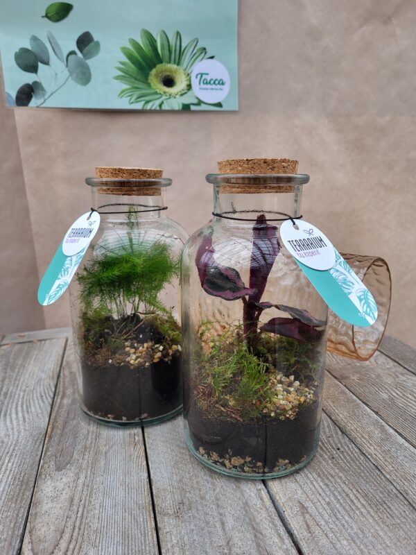 Le Terrarium