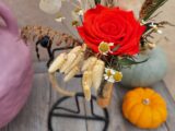 Rose « rubis »