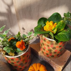 Duo "ananas"
