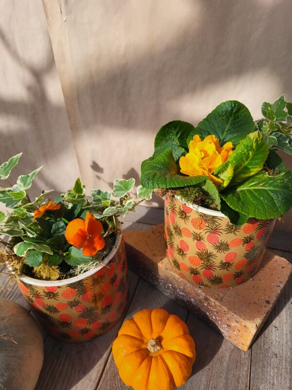 Duo "ananas"