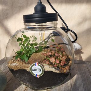 Terrarium lumineux