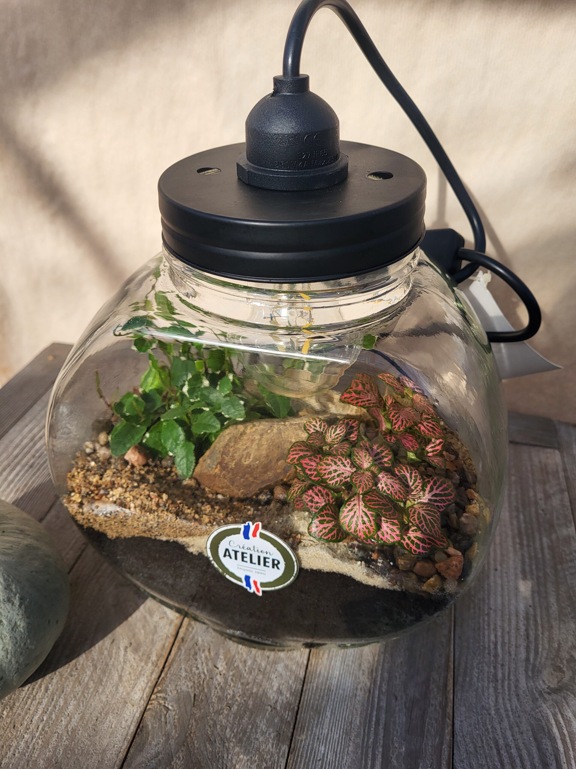 Terrarium lumineux – Image 2