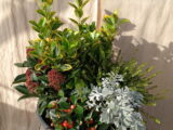 Jardin d’hiver.