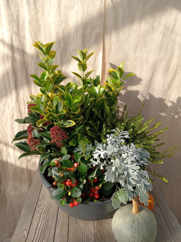Jardin d'hiver.