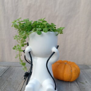 Bonhomme balancoire.