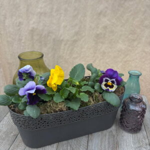 Jarinière de Cornutas