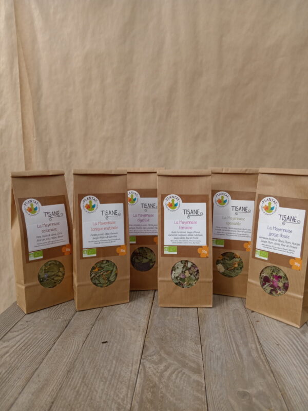 Tisane Mayennaise