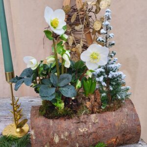 Bûche "blanche hiver"