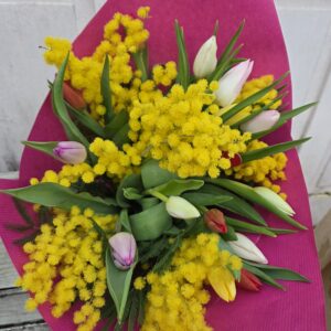 Bouquet Tulipes, Mimosa.
