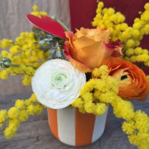 Création "cocktail orange"