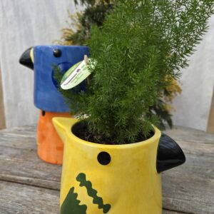 Le perroquet et sa plante