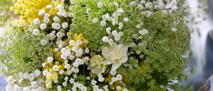 Nostalgic_Lens_LOW_9_uOsRtfv.width-1920