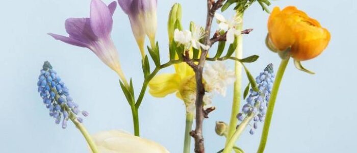 lentebloemen.width-1920