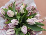 Botte de tulipes