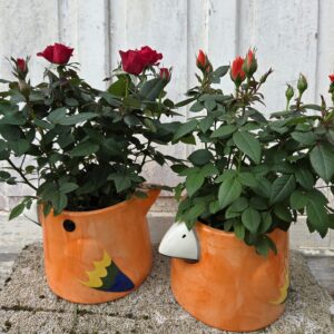 Le perroquet et sa plante