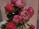 Bouquet de Pivoines
