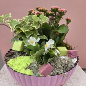 Jardin "Rose"