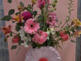 Marguerite « fleurs »
