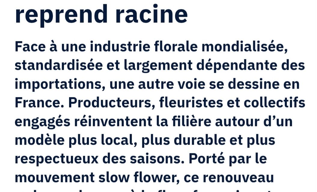 le slow flower, comment la fleur francaise reprend racine.