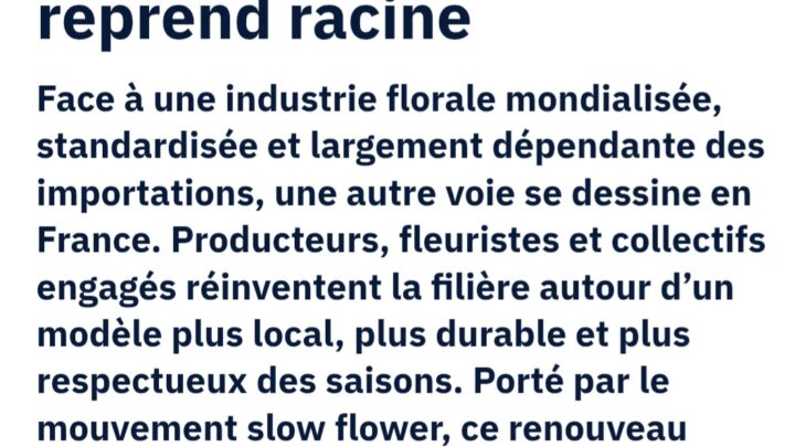 le slow flower, comment la fleur francaise reprend racine.