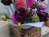 Botte de Dahlia.