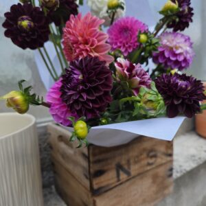 Botte de Dahlia.