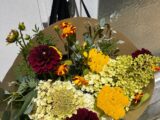 Bouquet Nomad.