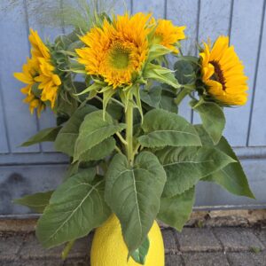 Vase "Citron"